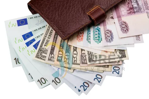 В процентном соотношении на рынке представлены 50 % рублевых счетчиков и 50 % мультивалютных