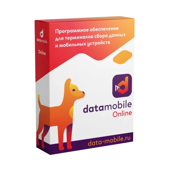 ПО DataMobile, версия Online - подписка на 6 месяцев (DMOnline6m)