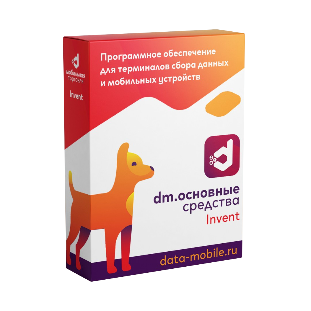 ПО DataMobile, Основные средства: Invent - LifeTime (DMI)
